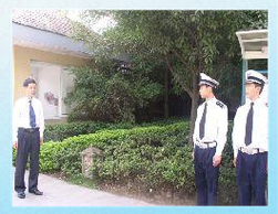 保安员的日常礼仪与服务标准指南